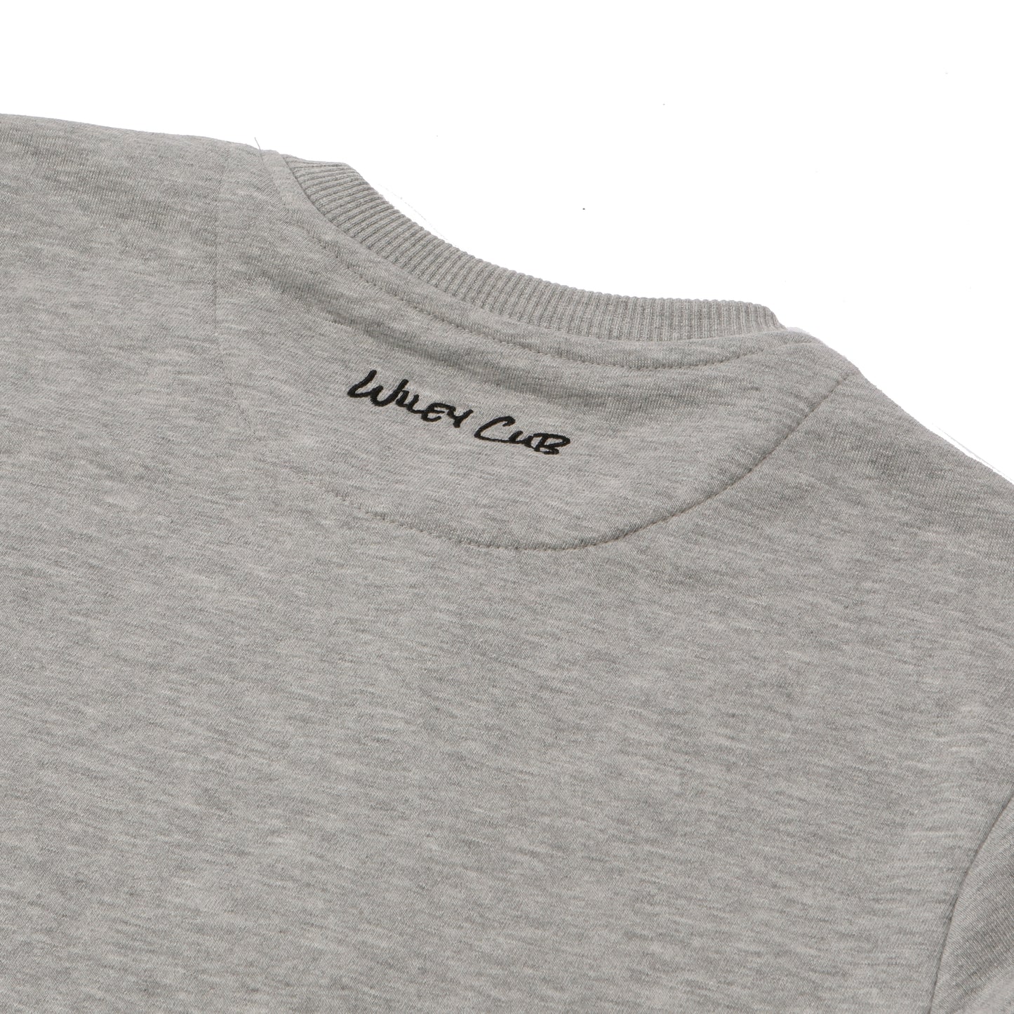 Grey Matter Collection Sweatshirt in Grey (Juniors)